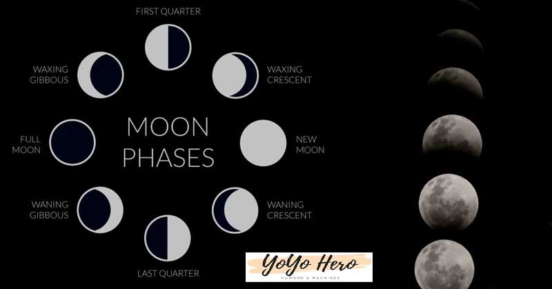 how-the-moon-affects-us-moon-phases-moon-phases-meaning-vector-art