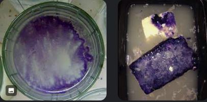 Purple-Mold-05