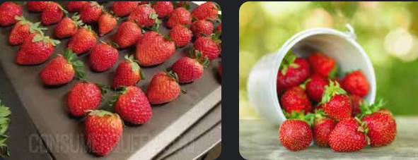How-to-Ripen-Strawberries-02