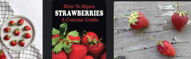 How-to-Ripen-Strawberries-06